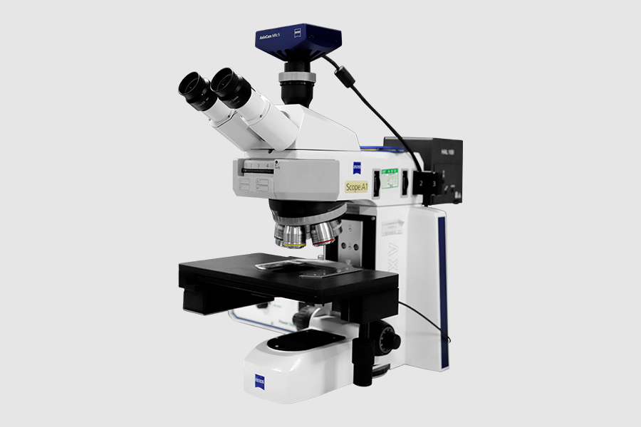 微信图片_20241125142423